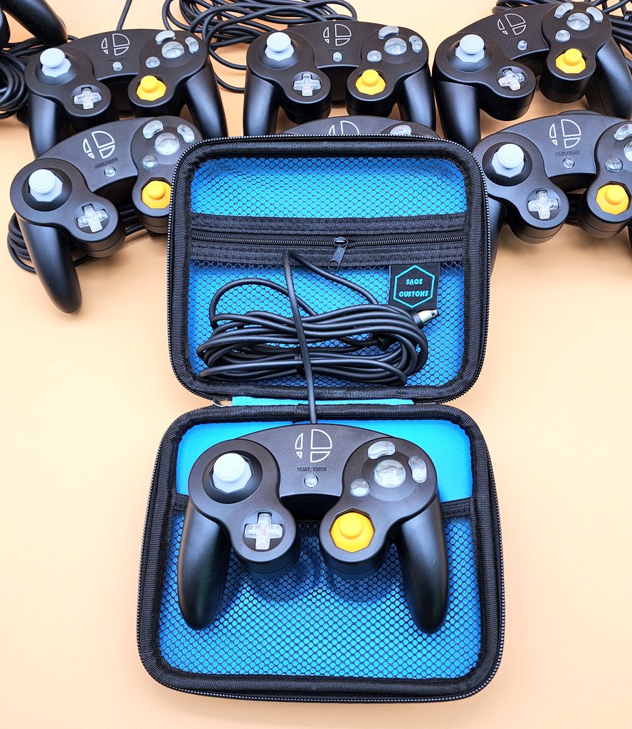 Gamecube Controller Case – Sage Customs